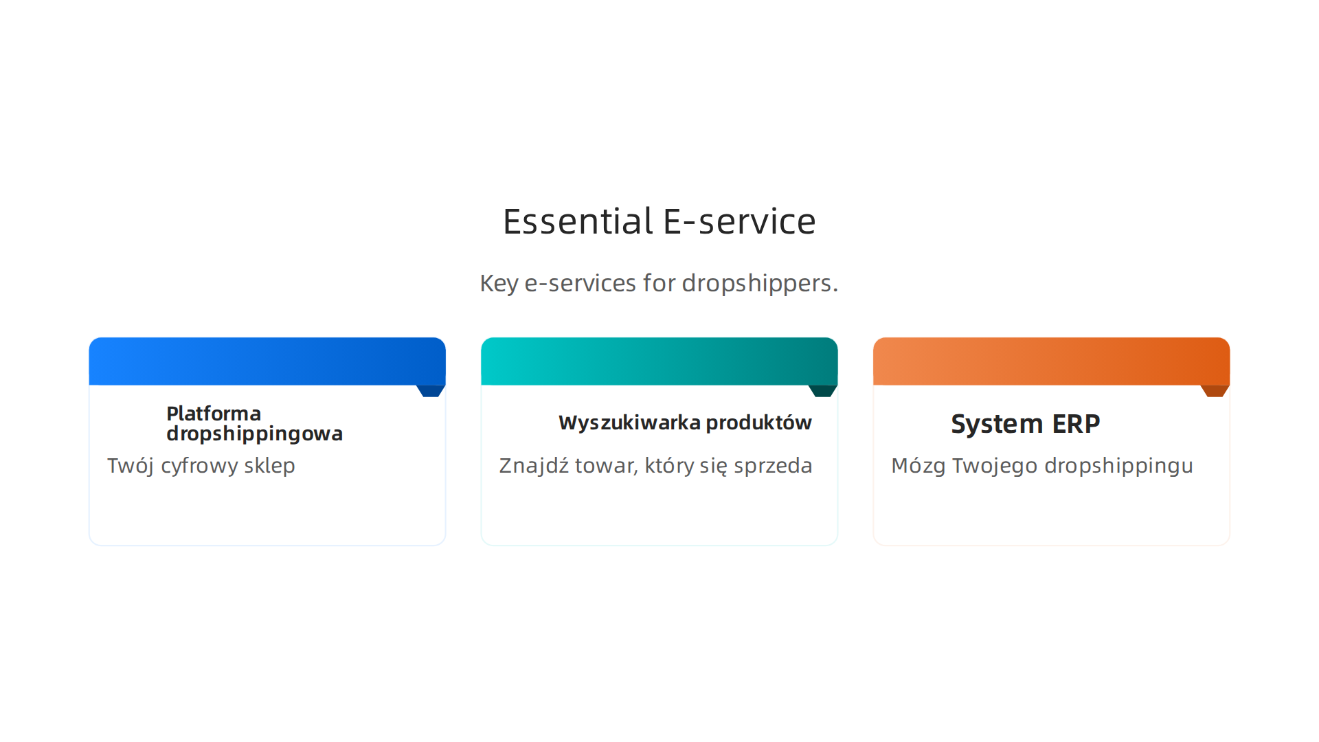 Trzy kluczowe usługi cyfrowe (e-service) niezbędne dla początkujących dropshipperów w Polsce, pomagające zbudować solidne podstawy biznesu.